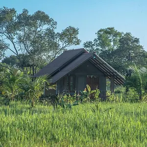 Hotel Farm Habarana